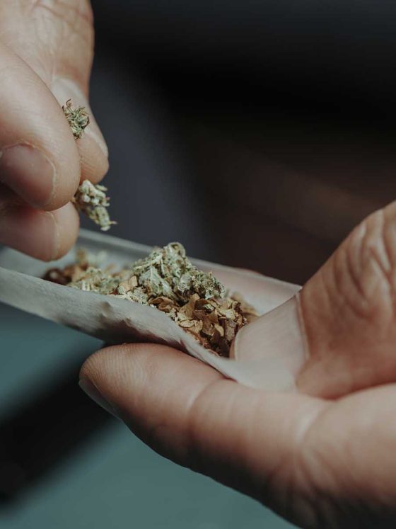 closeup of a man putting some cannabis mixed with tobacco in a rolling paper