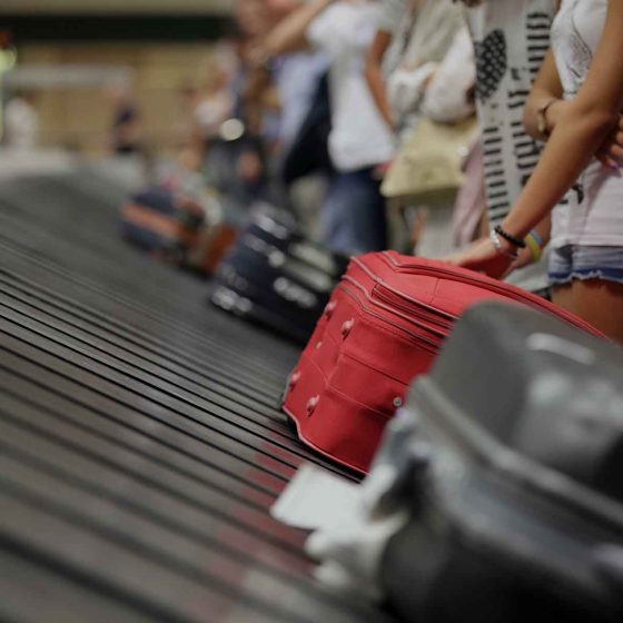 collecting cannabis filled suitcases in uk airport