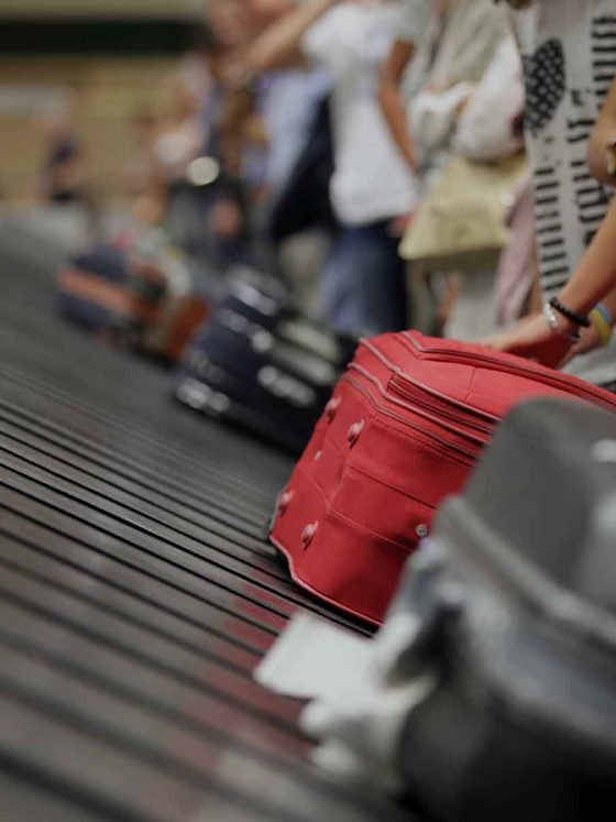collecting cannabis filled suitcases in uk airport