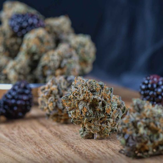 medical cannabis flowers next to some berries terpene concept