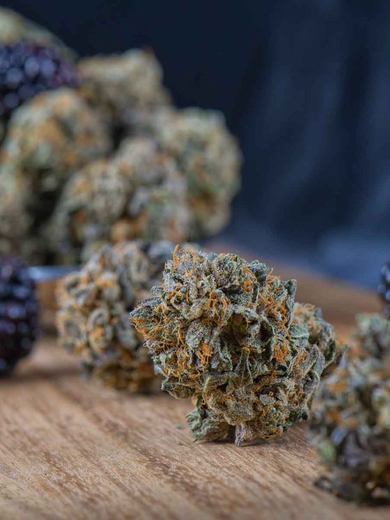 medical cannabis flowers next to some berries terpene concept