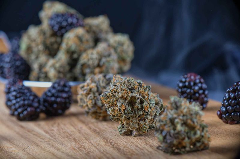 medical cannabis flowers next to some berries terpene concept